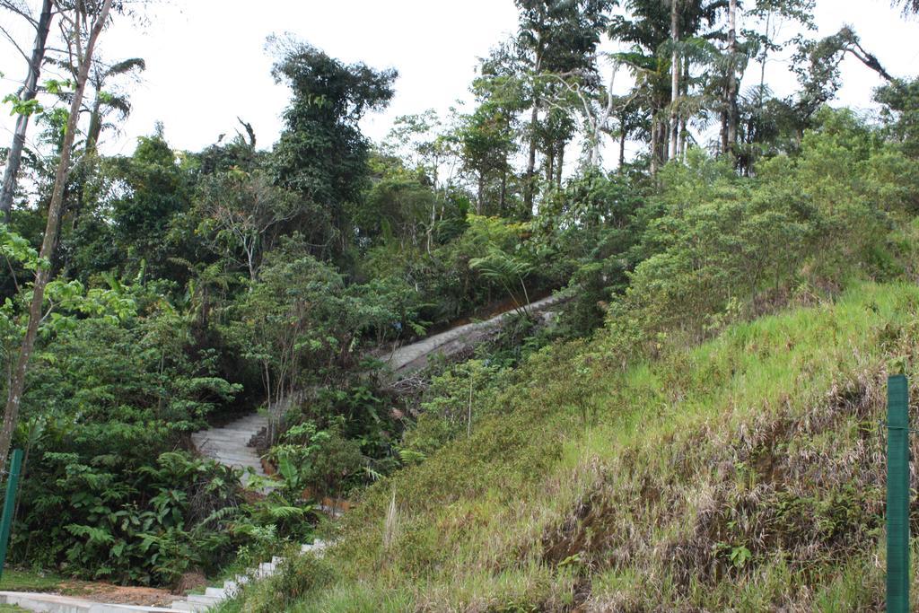 Cameron Golden Hills Resort Tanah Rata Eksteriør bilde